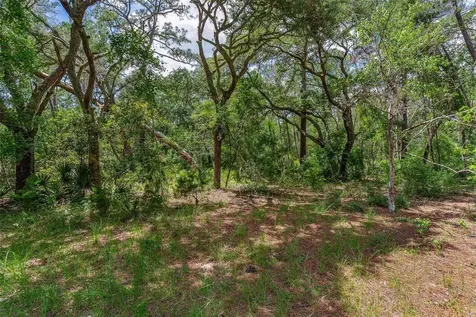 SE 152nd - Parcel B & C, Lots 16, 17 Place Altoona FL 32702