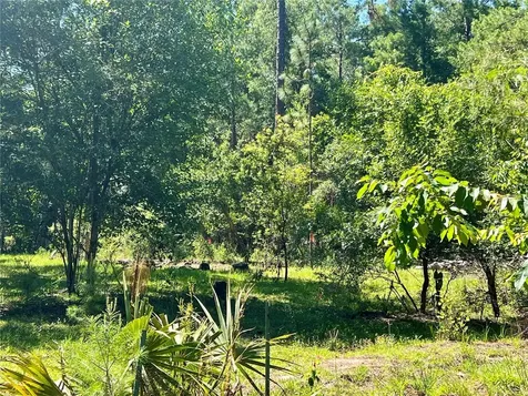 SE 152nd - Parcel B & C, Lots 16, 17 Place Altoona FL 32702