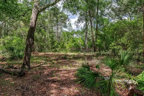SE 152nd - Parcel B & C, Lots 16, 17 Place Altoona FL 32702