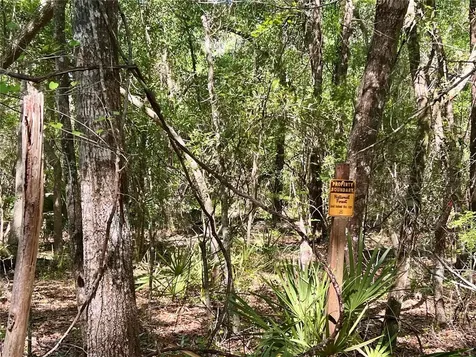 SE 152nd - Parcel B & C, Lots 16, 17 Place Altoona FL 32702