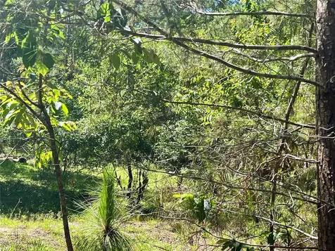 SE 152nd - Parcel B & C, Lots 16, 17 Place Altoona FL 32702