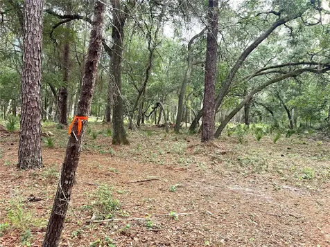 SE 152nd - Parcel B & C, Lots 16, 17 Place Altoona FL 32702