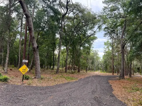 SE 152nd - Parcel B & C, Lots 16, 17 Place Altoona FL 32702