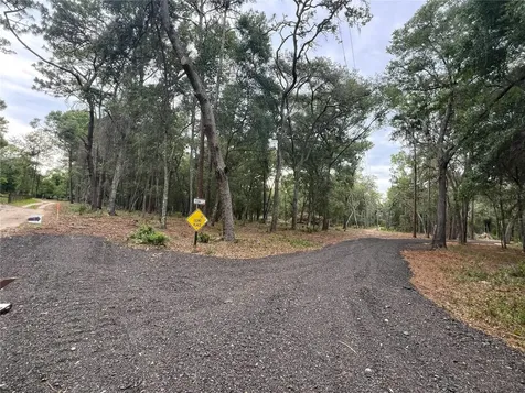 SE 152nd - Parcel B & C, Lots 16, 17 Place Altoona FL 32702