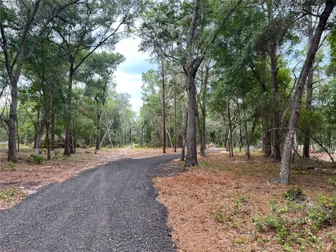 SE 152nd - Parcel B & C, Lots 16, 17 Place Altoona FL 32702