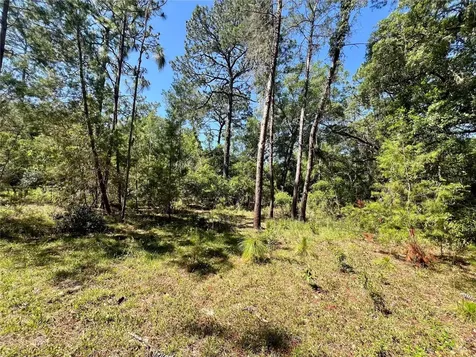 SE 152nd - Parcel B & C, Lots 16, 17 Place Altoona FL 32702