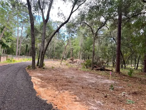 SE 152nd - Parcel B & C, Lots 16, 17 Place Altoona FL 32702