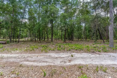 SE 152nd - Parcel B & C, Lots 16, 17 Place Altoona FL 32702