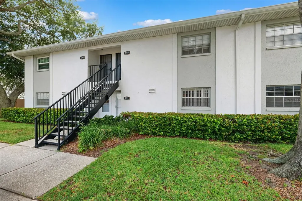 3808 N Oak Drive Tampa FL 33611