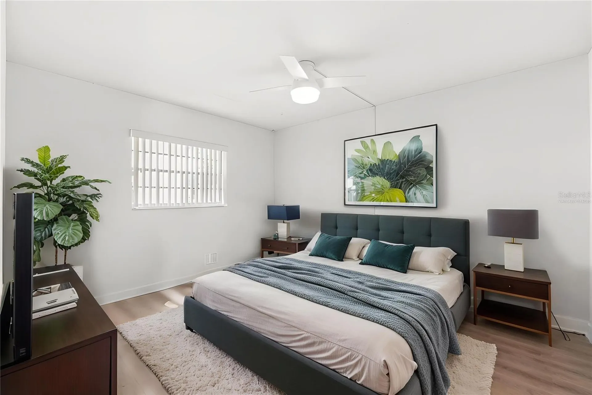 3808 N Oak Drive Tampa FL 33611