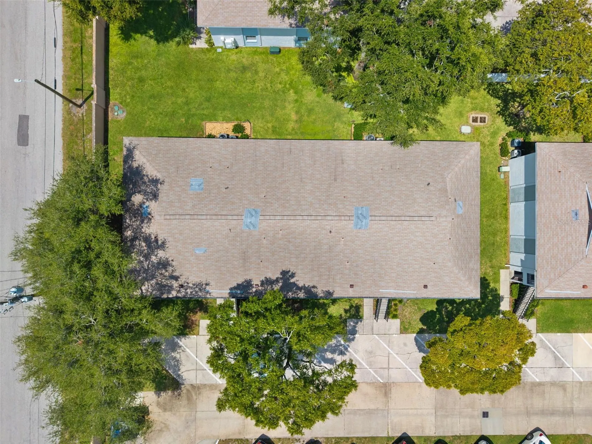 3808 N Oak Drive Tampa FL 33611