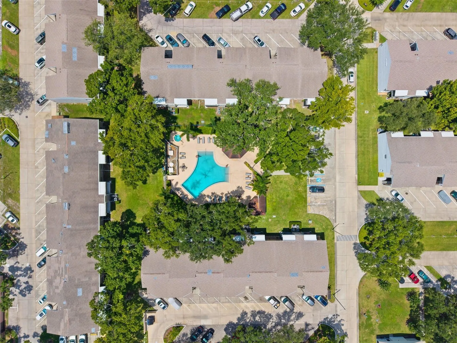 3808 N Oak Drive Tampa FL 33611