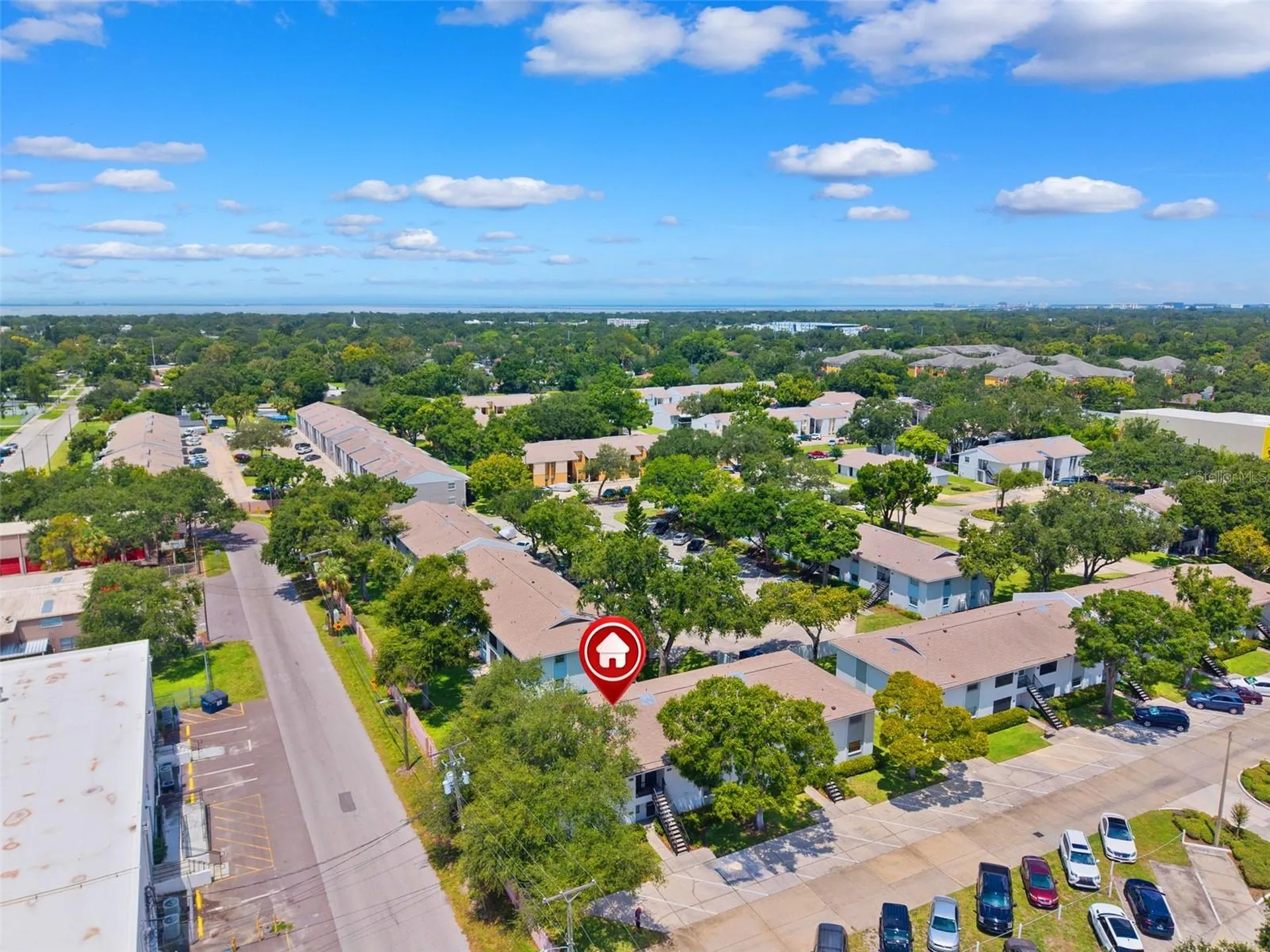3808 N Oak Drive Tampa FL 33611
