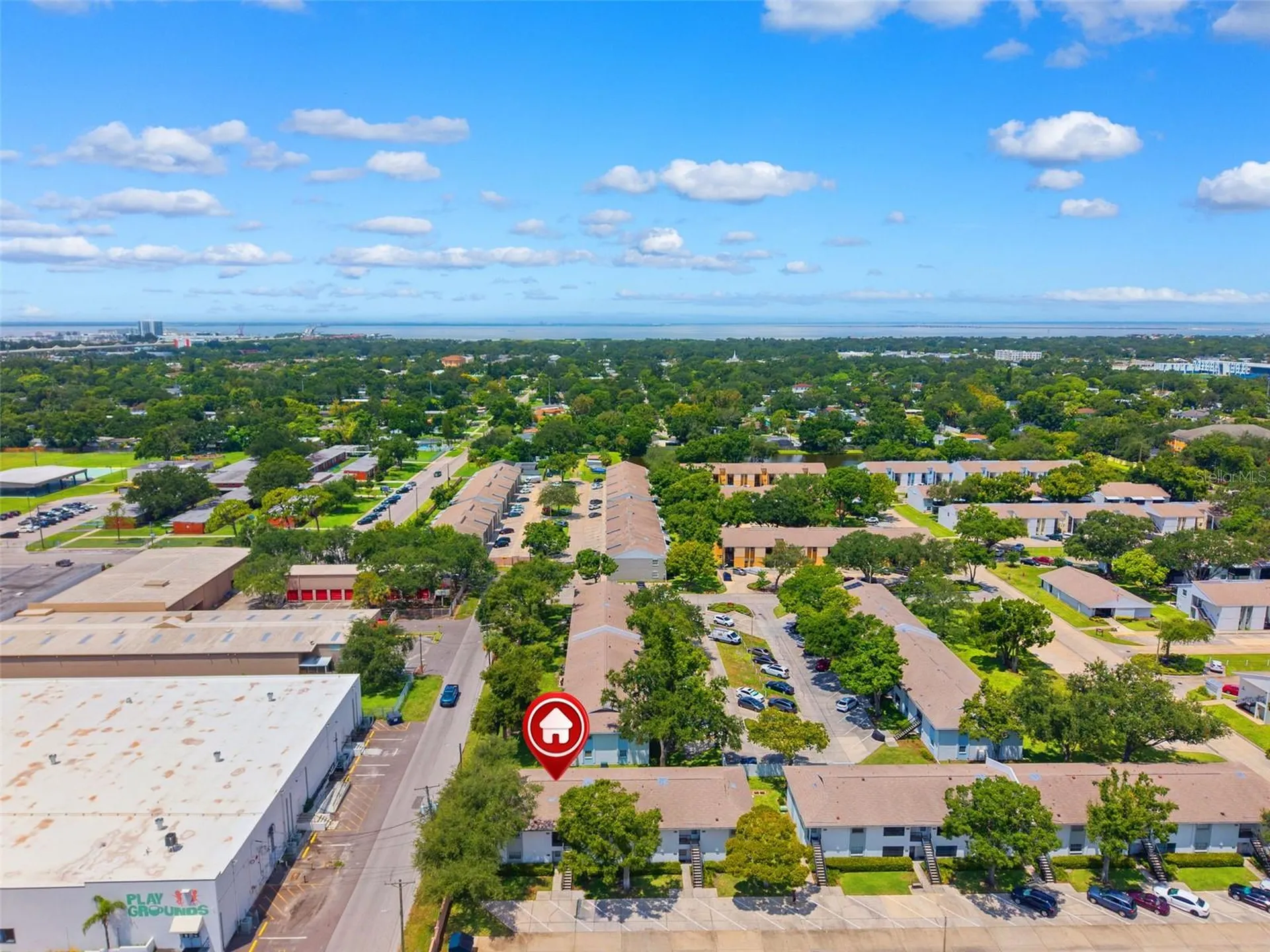 3808 N Oak Drive Tampa FL 33611