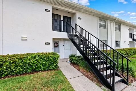 3808 N Oak Drive Tampa FL 33611