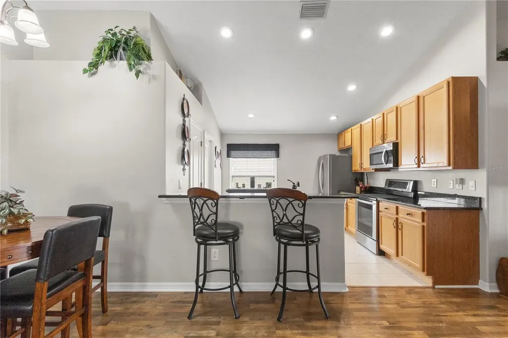 3911 Langdrum Drive Wesley Chapel FL 33543