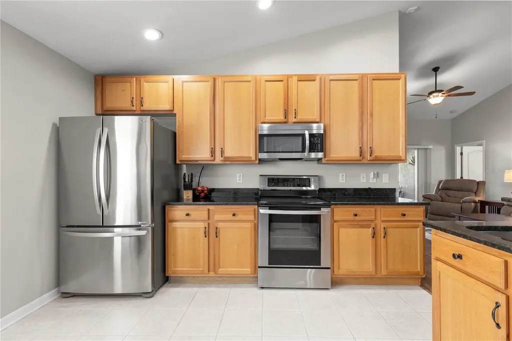 3911 Langdrum Drive Wesley Chapel FL 33543