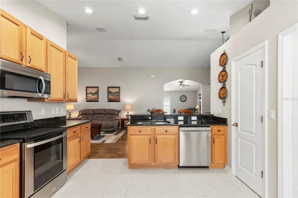 3911 Langdrum Drive Wesley Chapel FL 33543
