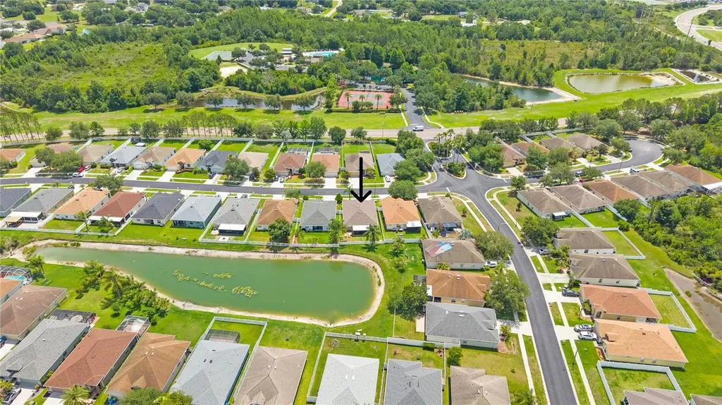 3911 Langdrum Drive Wesley Chapel FL 33543