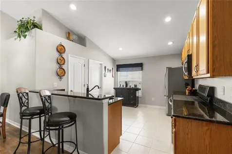 3911 Langdrum Drive Wesley Chapel FL 33543