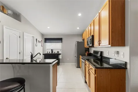 3911 Langdrum Drive Wesley Chapel FL 33543