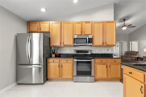 3911 Langdrum Drive Wesley Chapel FL 33543