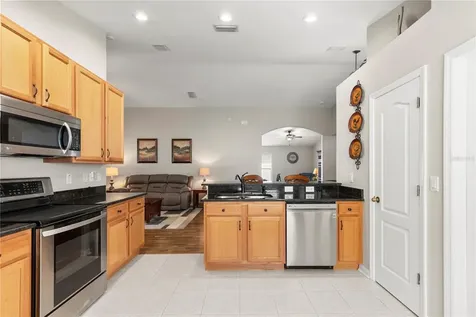3911 Langdrum Drive Wesley Chapel FL 33543