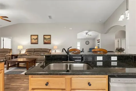 3911 Langdrum Drive Wesley Chapel FL 33543