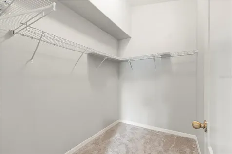 3911 Langdrum Drive Wesley Chapel FL 33543