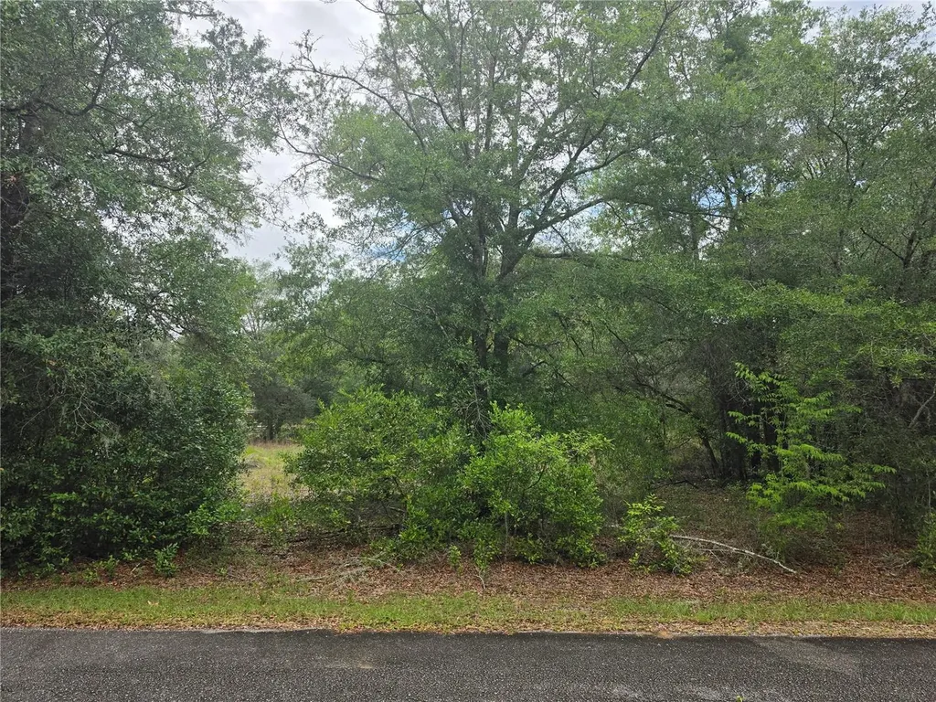 SW 202nd Court Dunnellon FL 34431