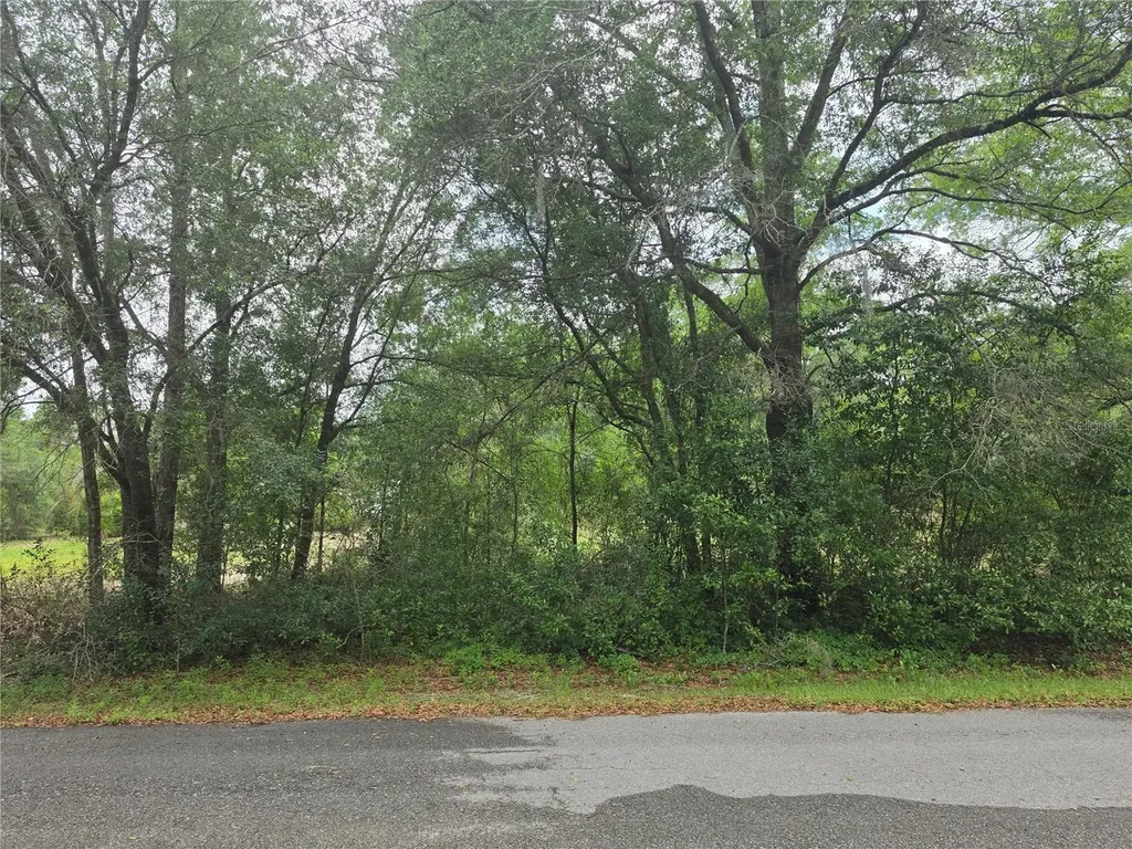 SW 202nd Court Dunnellon FL 34431