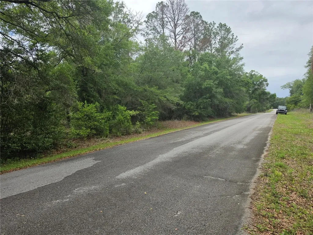SW 202nd Court Dunnellon FL 34431