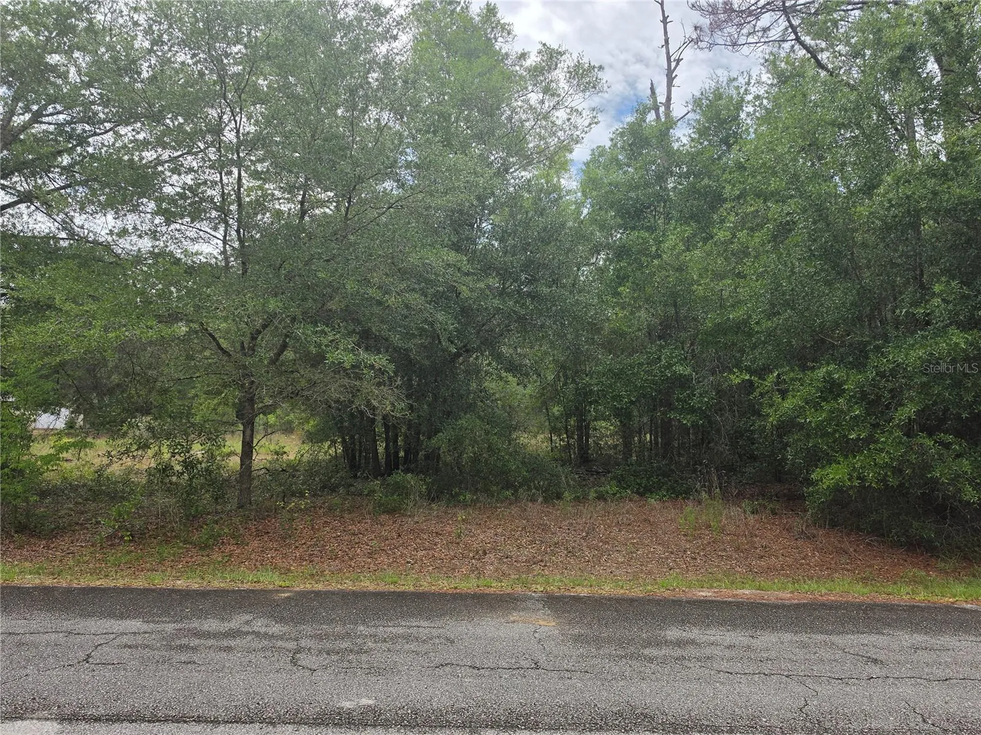 SW 202nd Court Dunnellon FL 34431