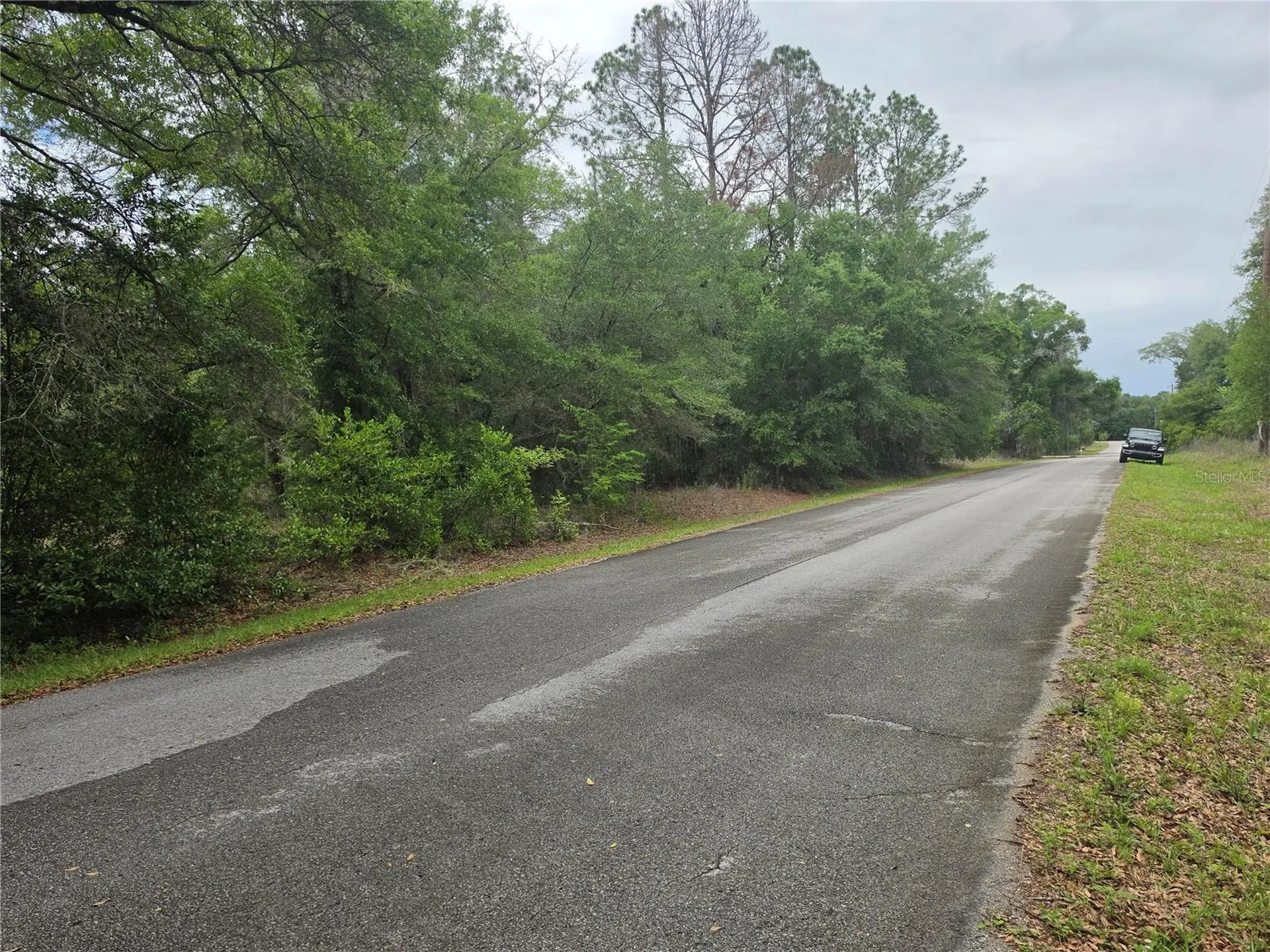 SW 202nd Court Dunnellon FL 34431