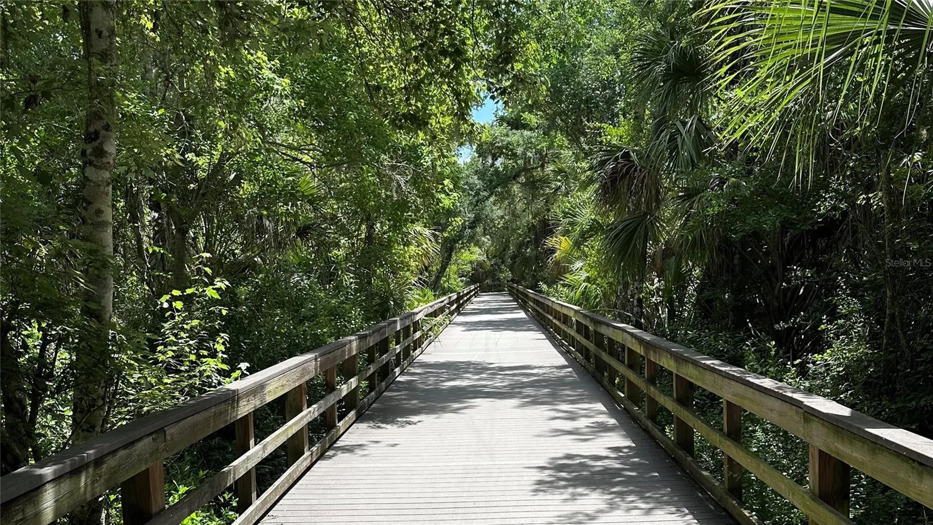 706 Sweetbriar Drive Oldsmar FL 34677