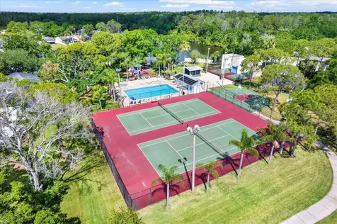 706 Sweetbriar Drive Oldsmar FL 34677