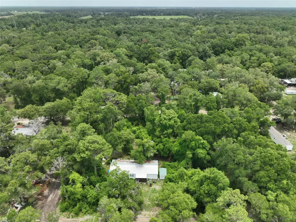Trenton FL 32693