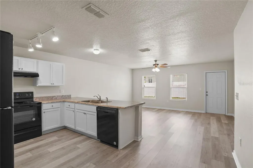 252 Fig Court Kissimmee FL 34759
