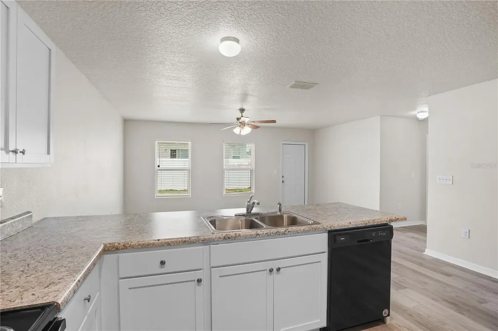 252 Fig Court Kissimmee FL 34759