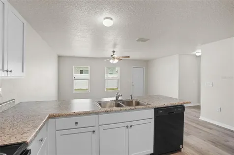 252 Fig Court Kissimmee FL 34759