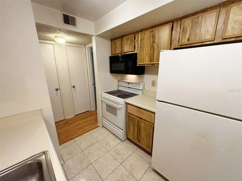 4034 Dream Oak Place Tampa FL 33613