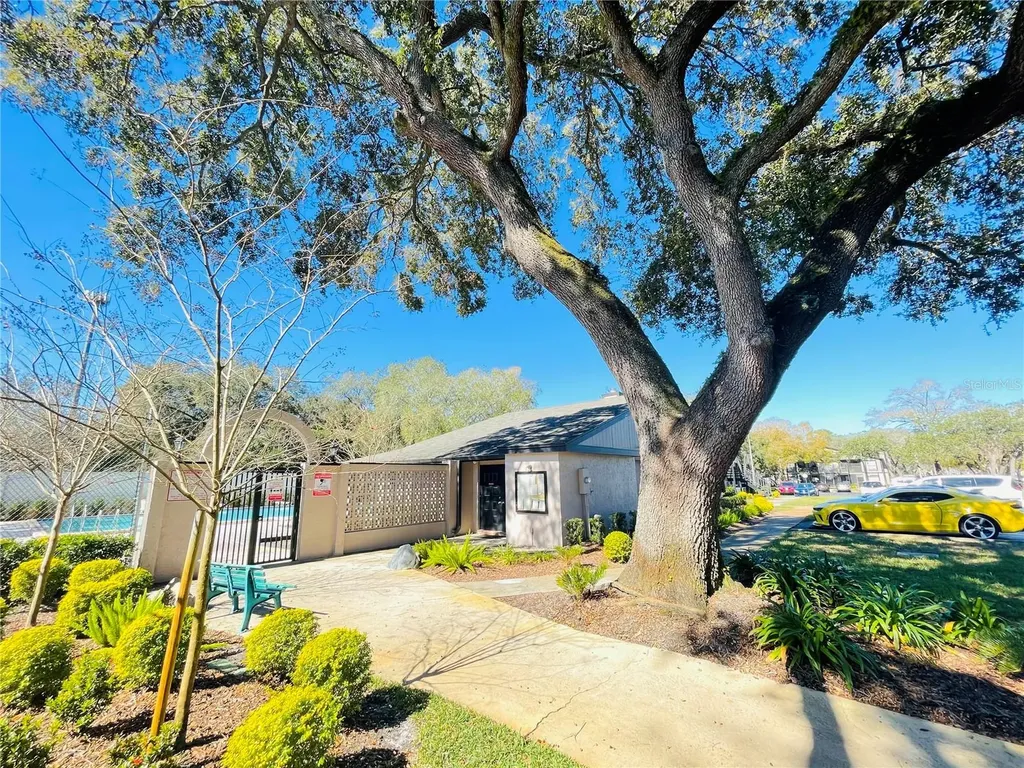 4034 Dream Oak Place Tampa FL 33613