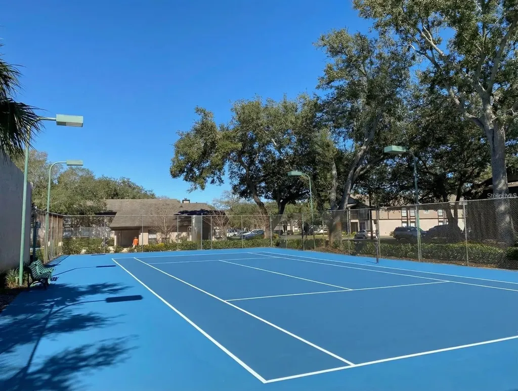 4034 Dream Oak Place Tampa FL 33613