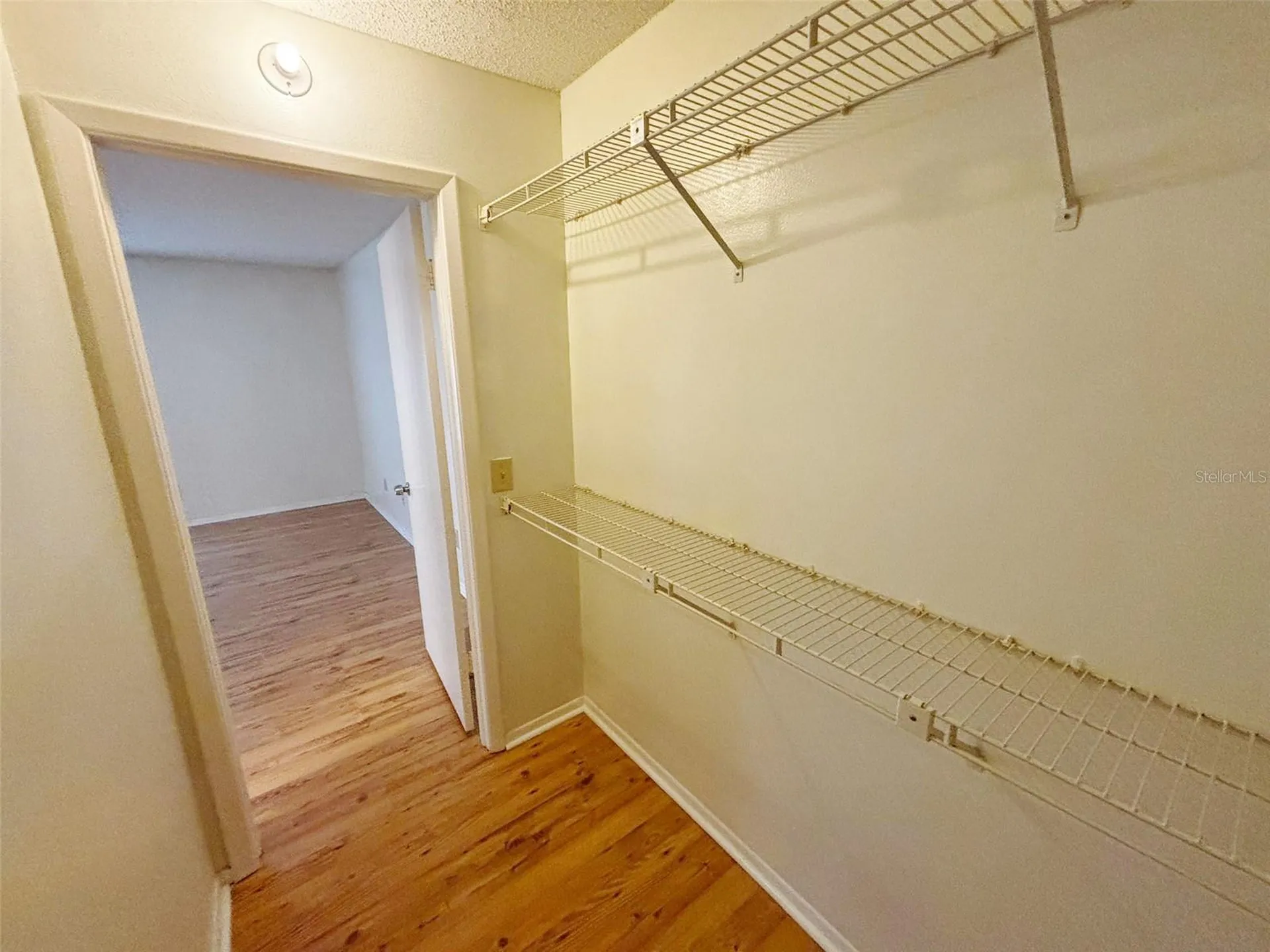 4034 Dream Oak Place Tampa FL 33613