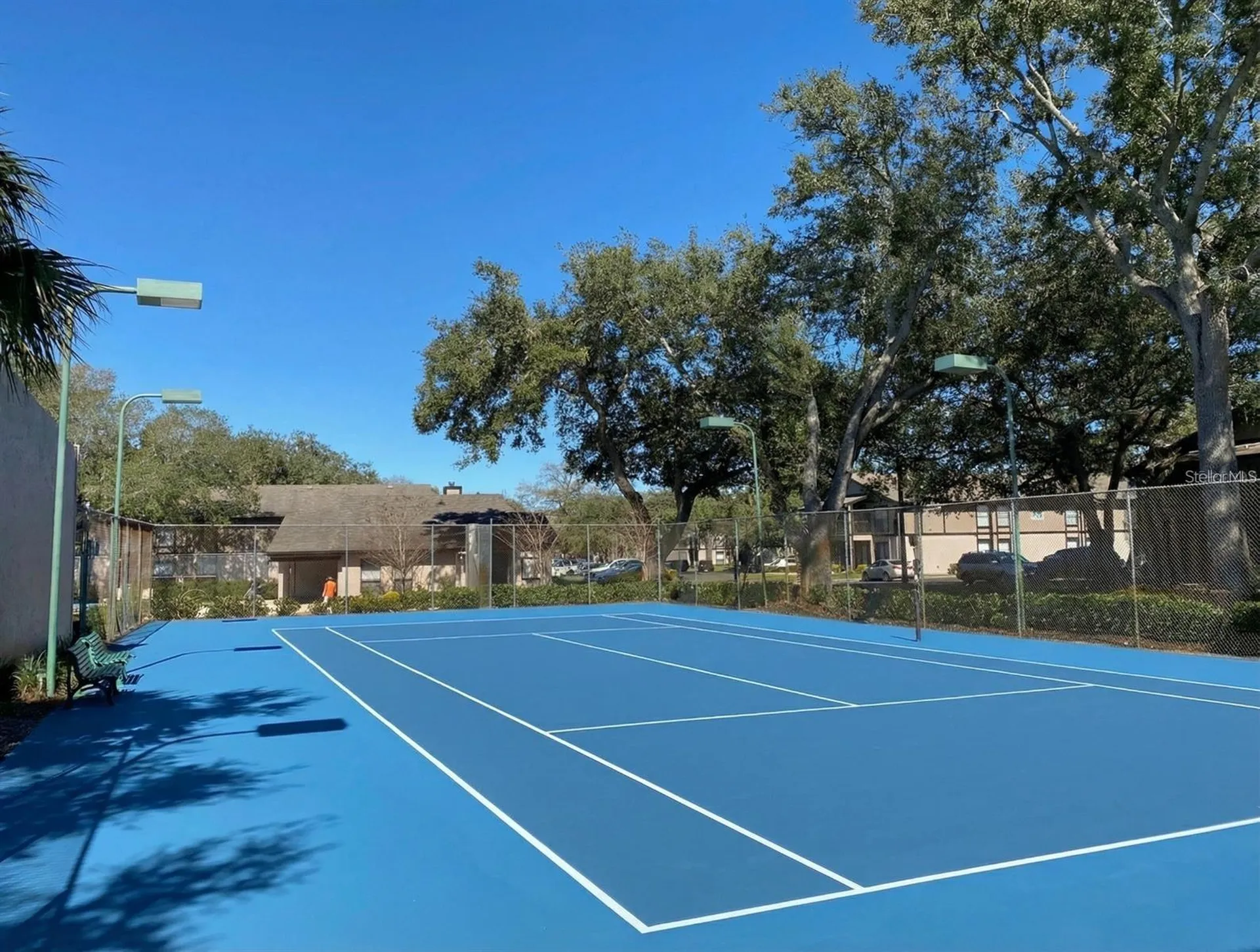 4034 Dream Oak Place Tampa FL 33613