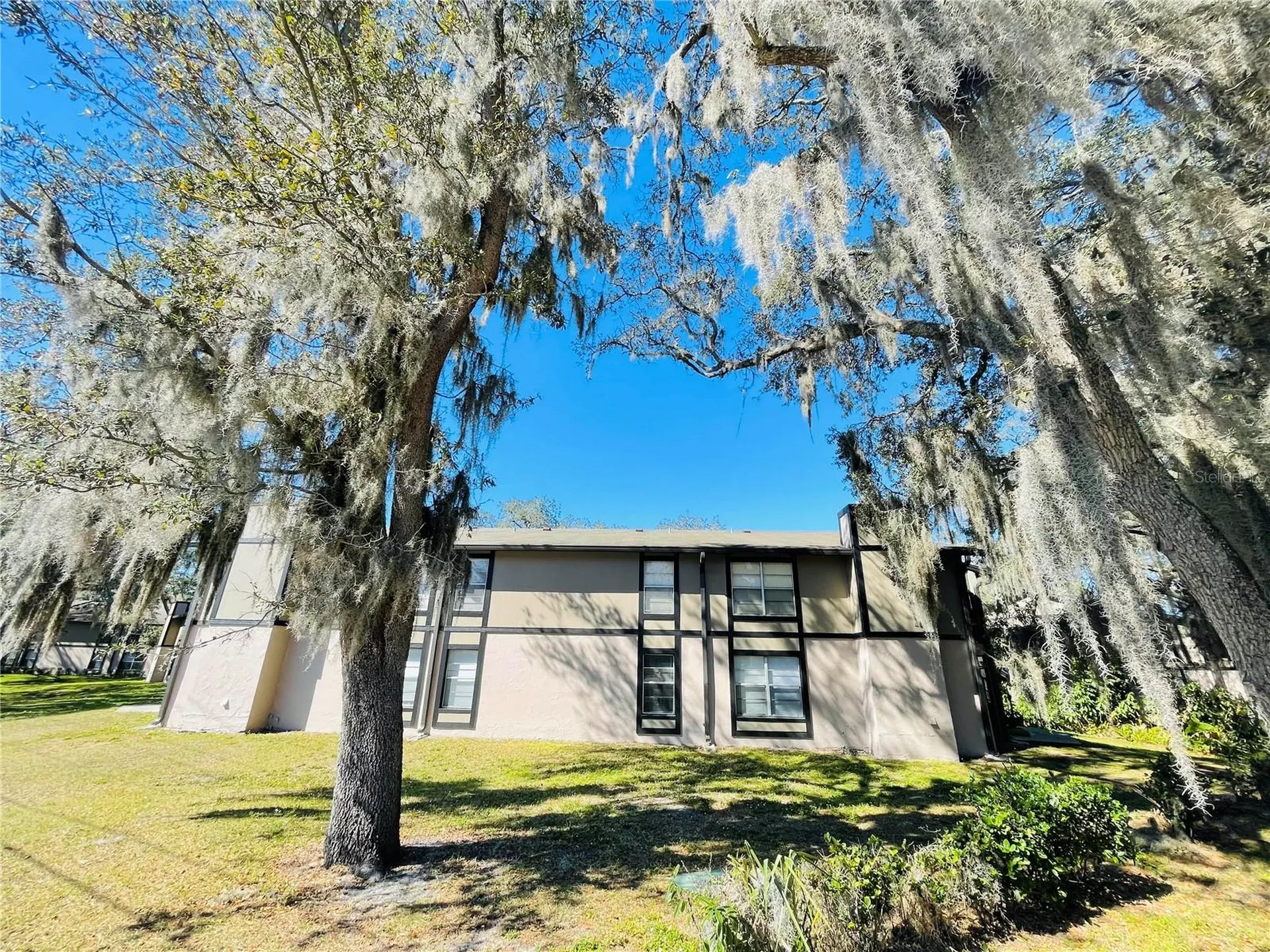 4034 Dream Oak Place Tampa FL 33613