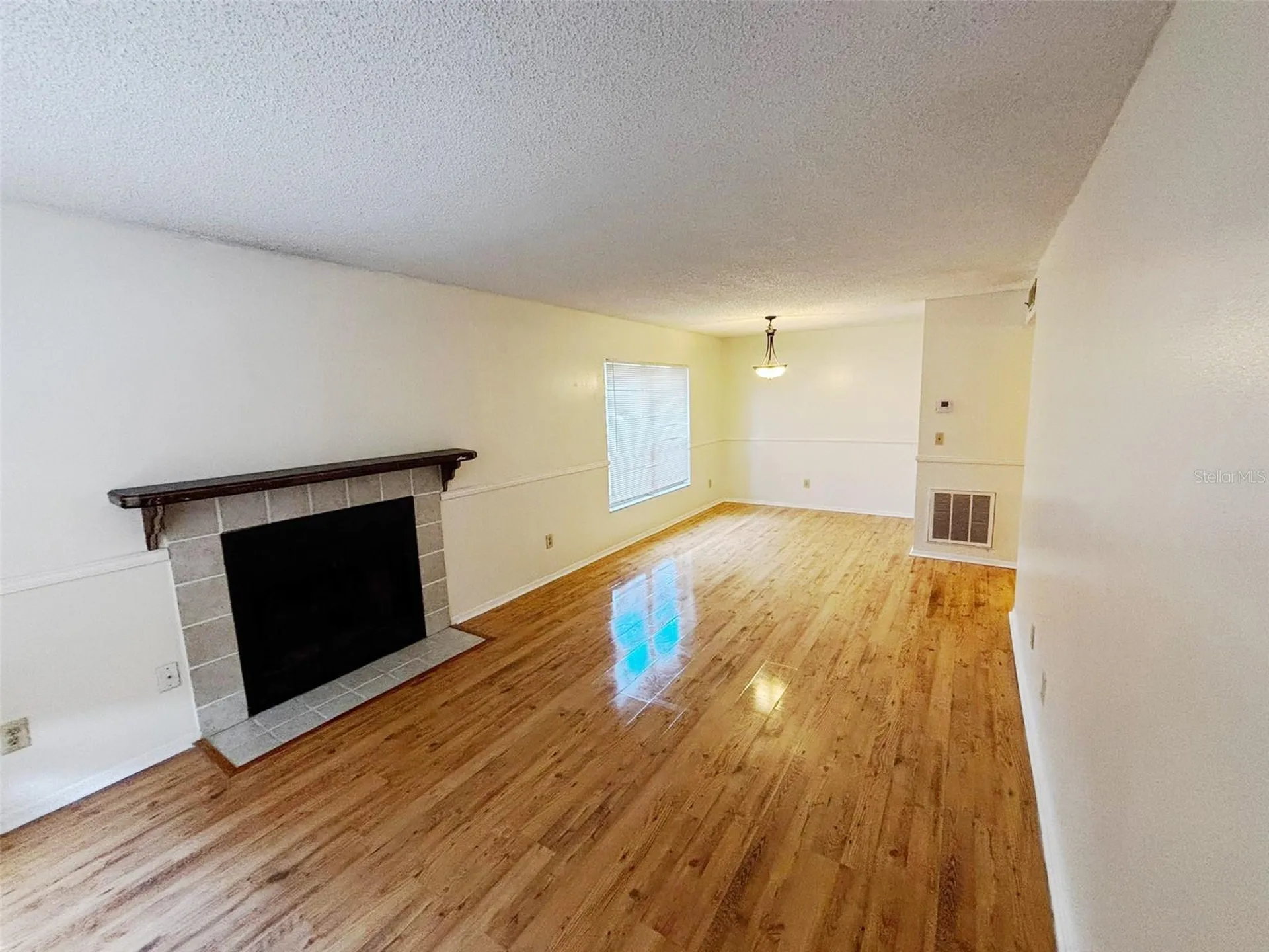 4034 Dream Oak Place Tampa FL 33613