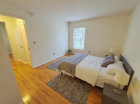 4034 Dream Oak Place Tampa FL 33613