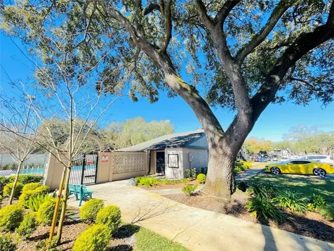 4034 Dream Oak Place Tampa FL 33613