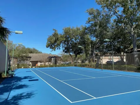 4034 Dream Oak Place Tampa FL 33613